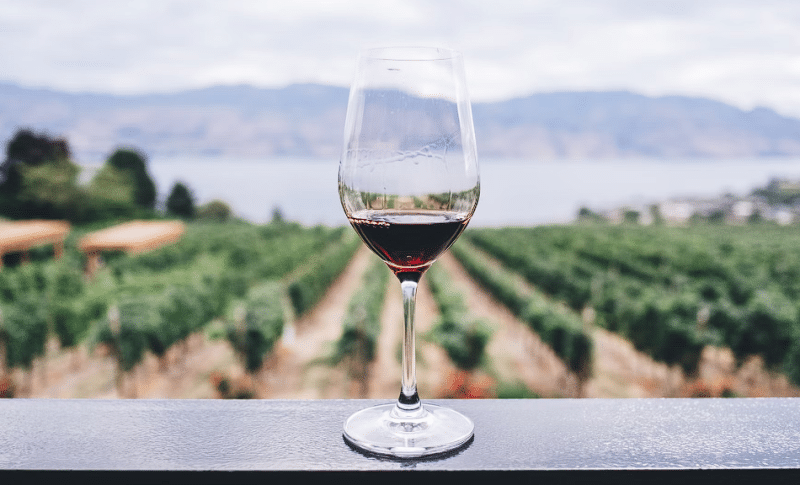 Časa vina sa pozadinom vinograda