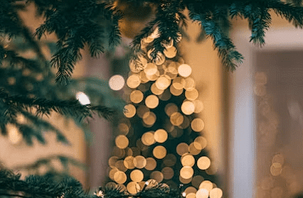 Božićno drvce