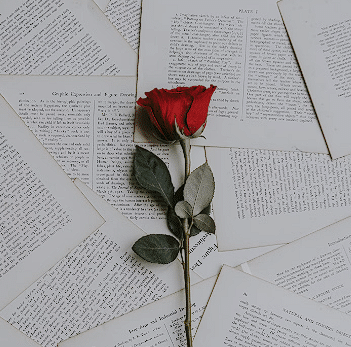 Ruža na papirima